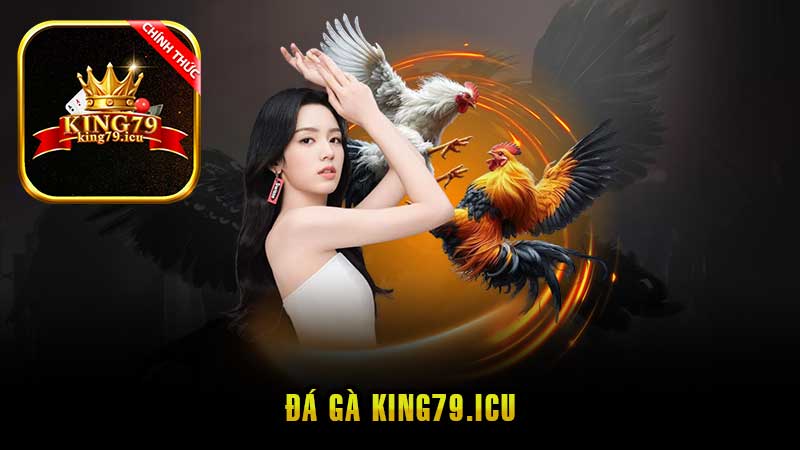 Đá Gà King79 – Kênh Chọi Kê Trực Tuyến Uy Tín Tại Việt Nam