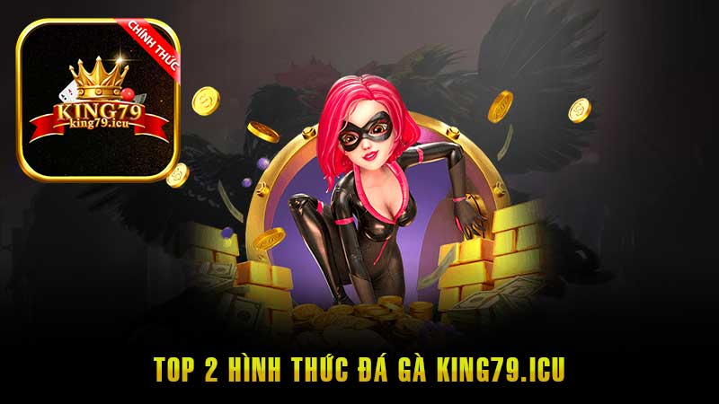 Top 2 hình thức đá gà King79 được ưa chuộng nhất